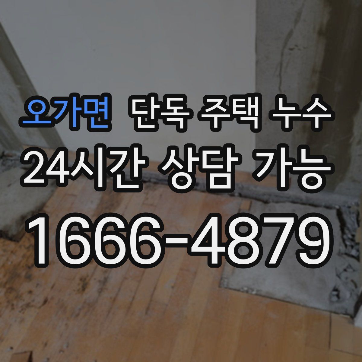 오가면 단독 주택 누수