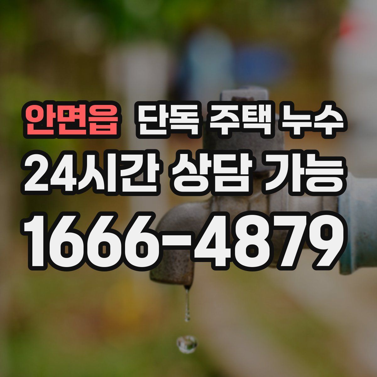 안면읍 단독 주택 누수