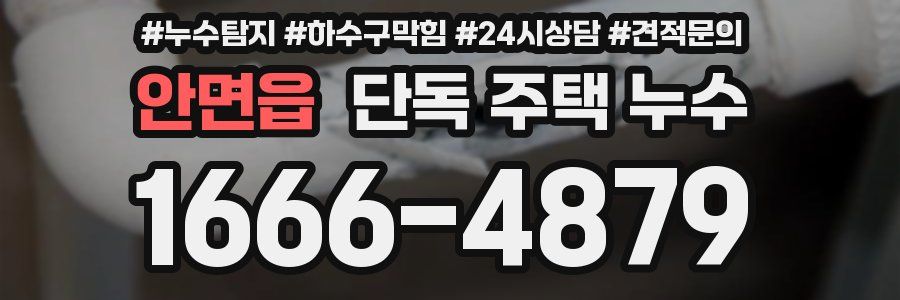 안면읍 단독 주택 누수