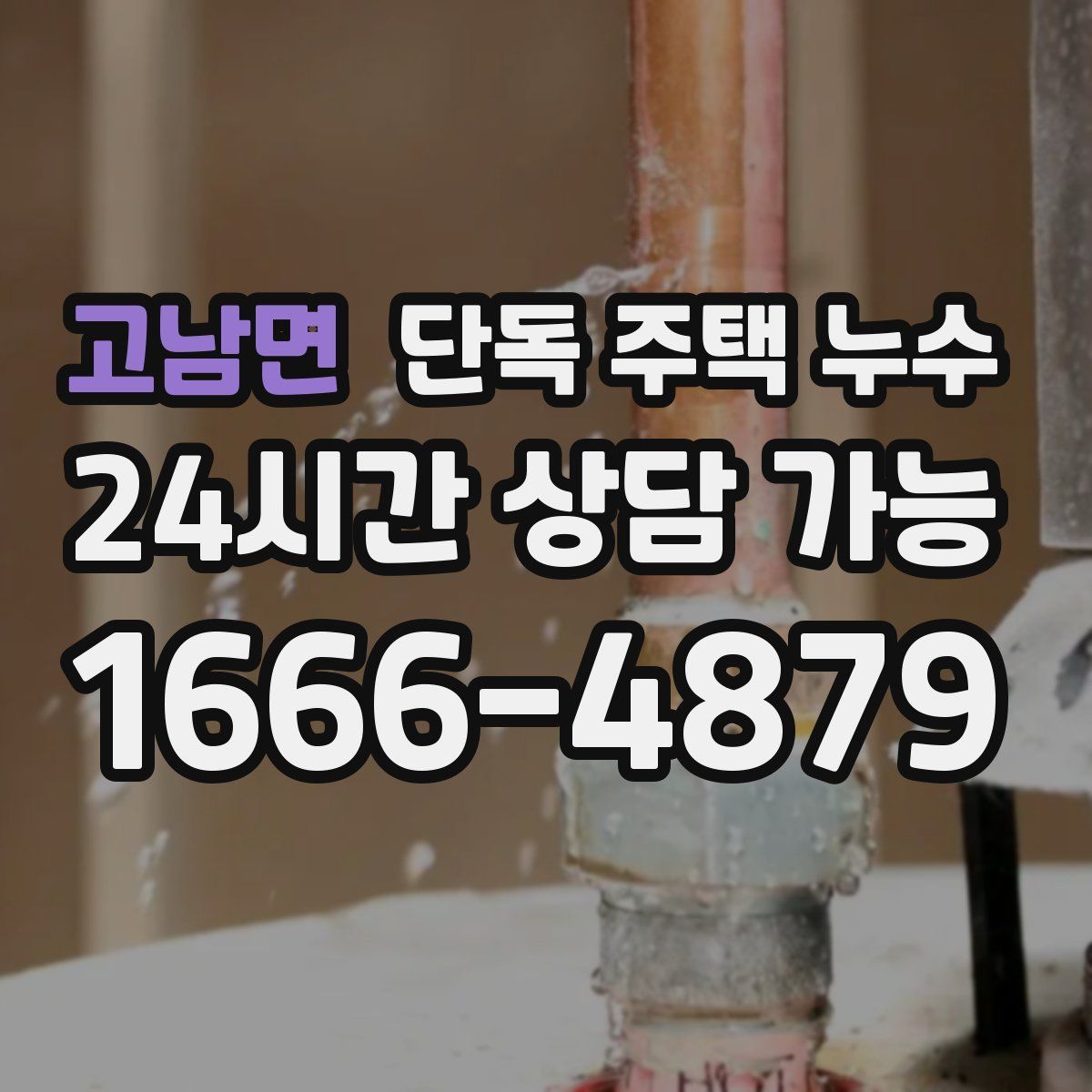 고남면 단독 주택 누수