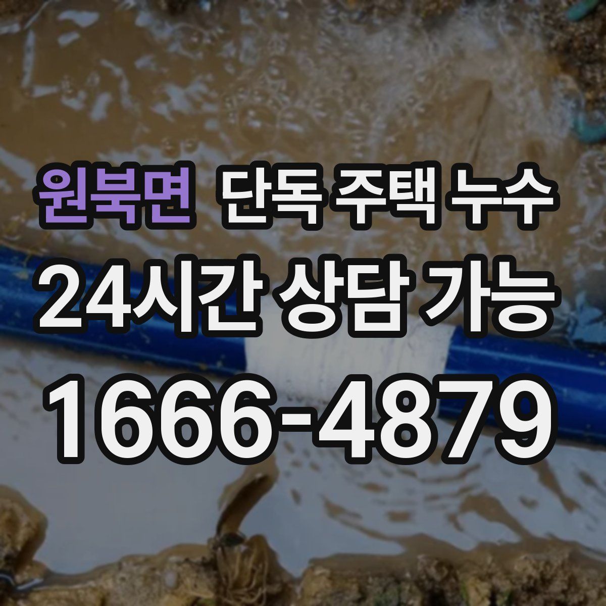 원북면 단독 주택 누수