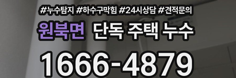 원북면 단독 주택 누수