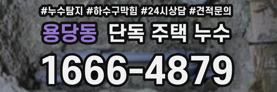 용당동 단독 주택 누수