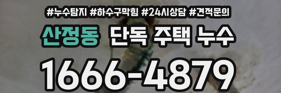 산정동 단독 주택 누수