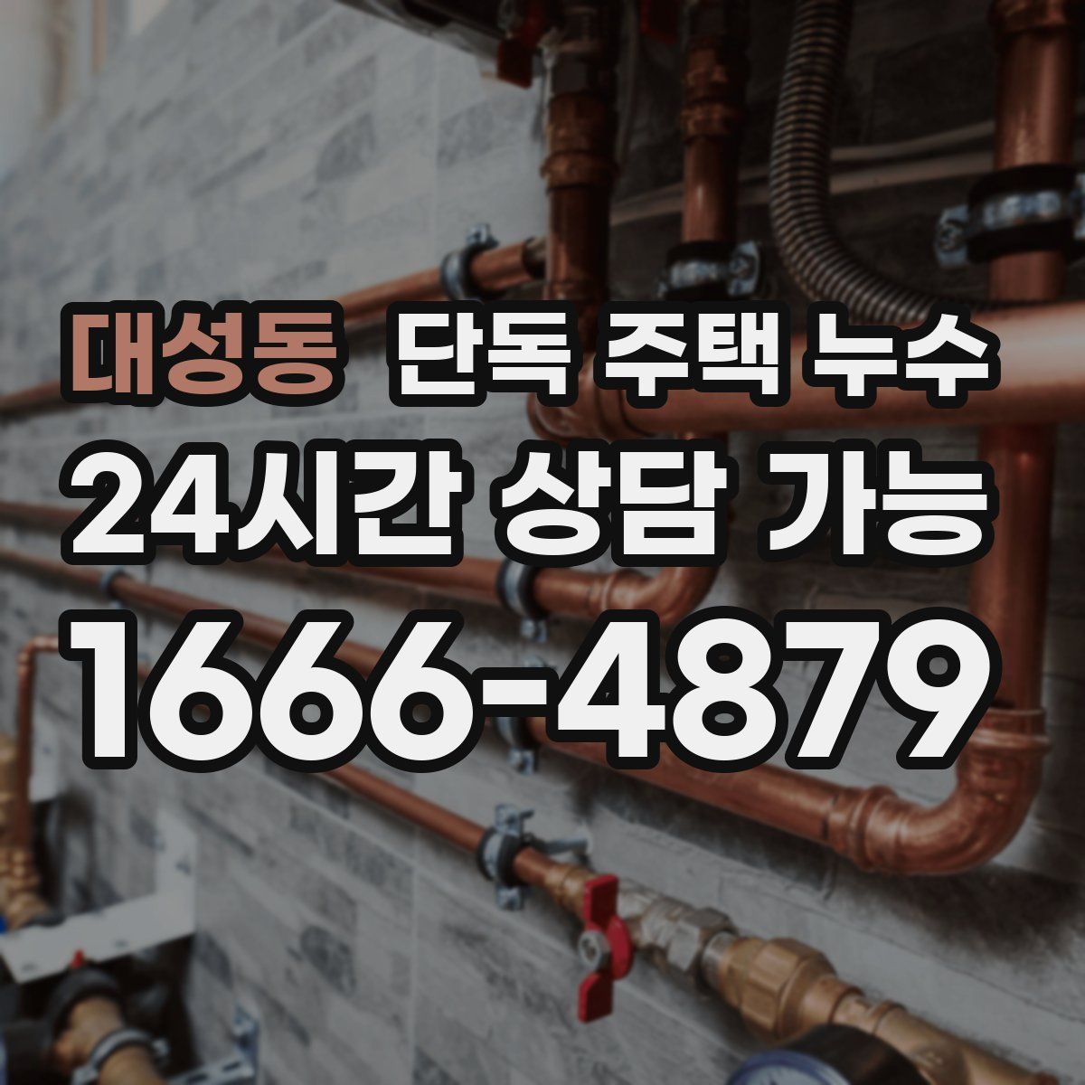 대성동 단독 주택 누수