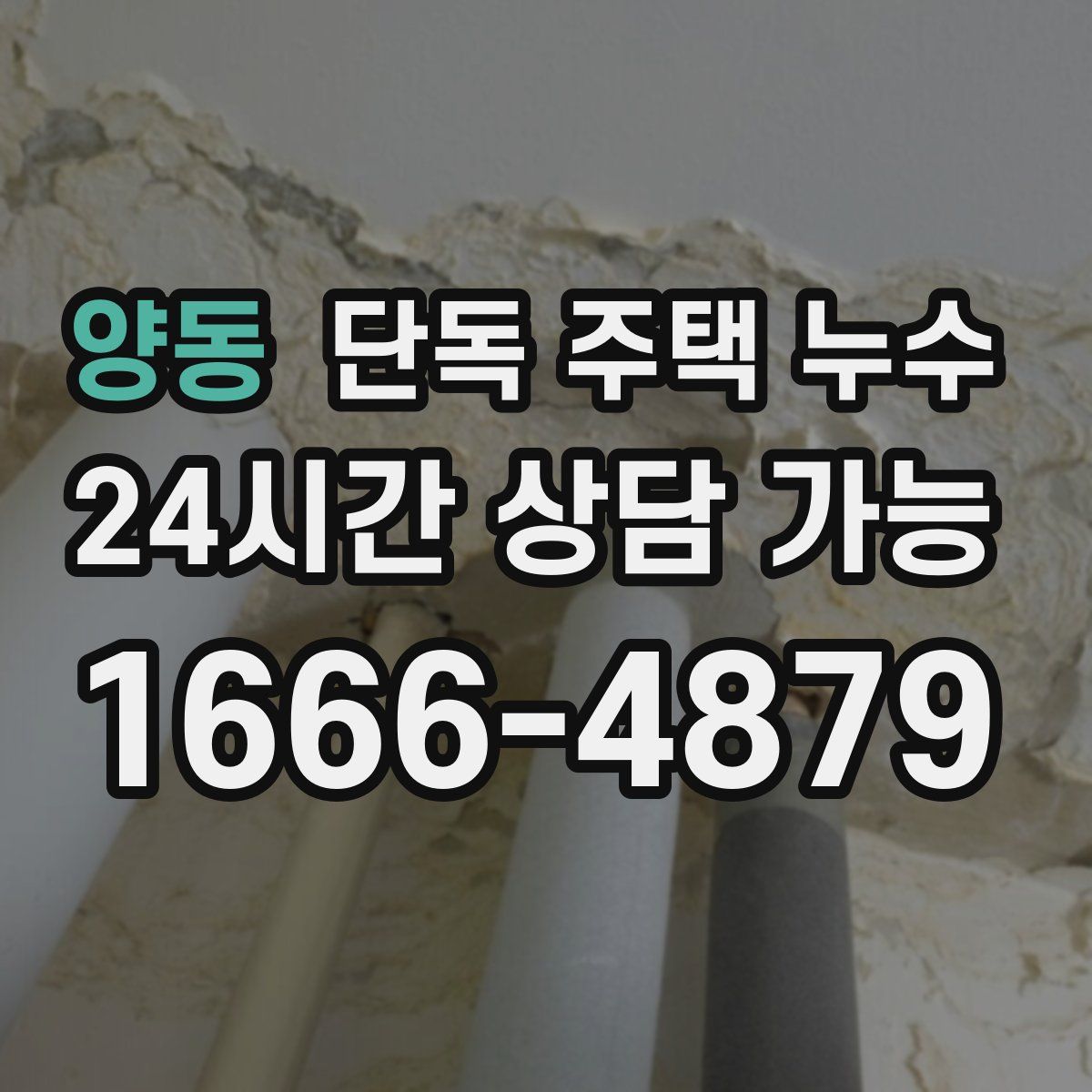 양동 단독 주택 누수