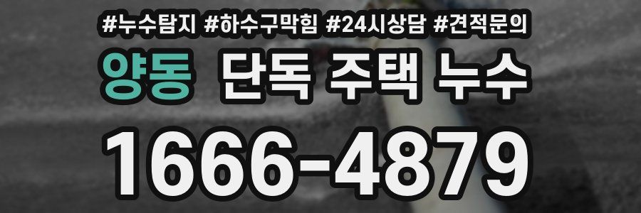 양동 단독 주택 누수