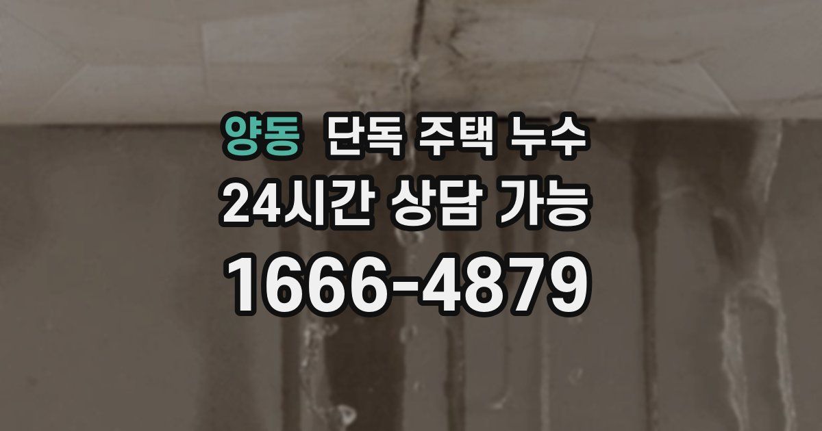양동 단독 주택 누수