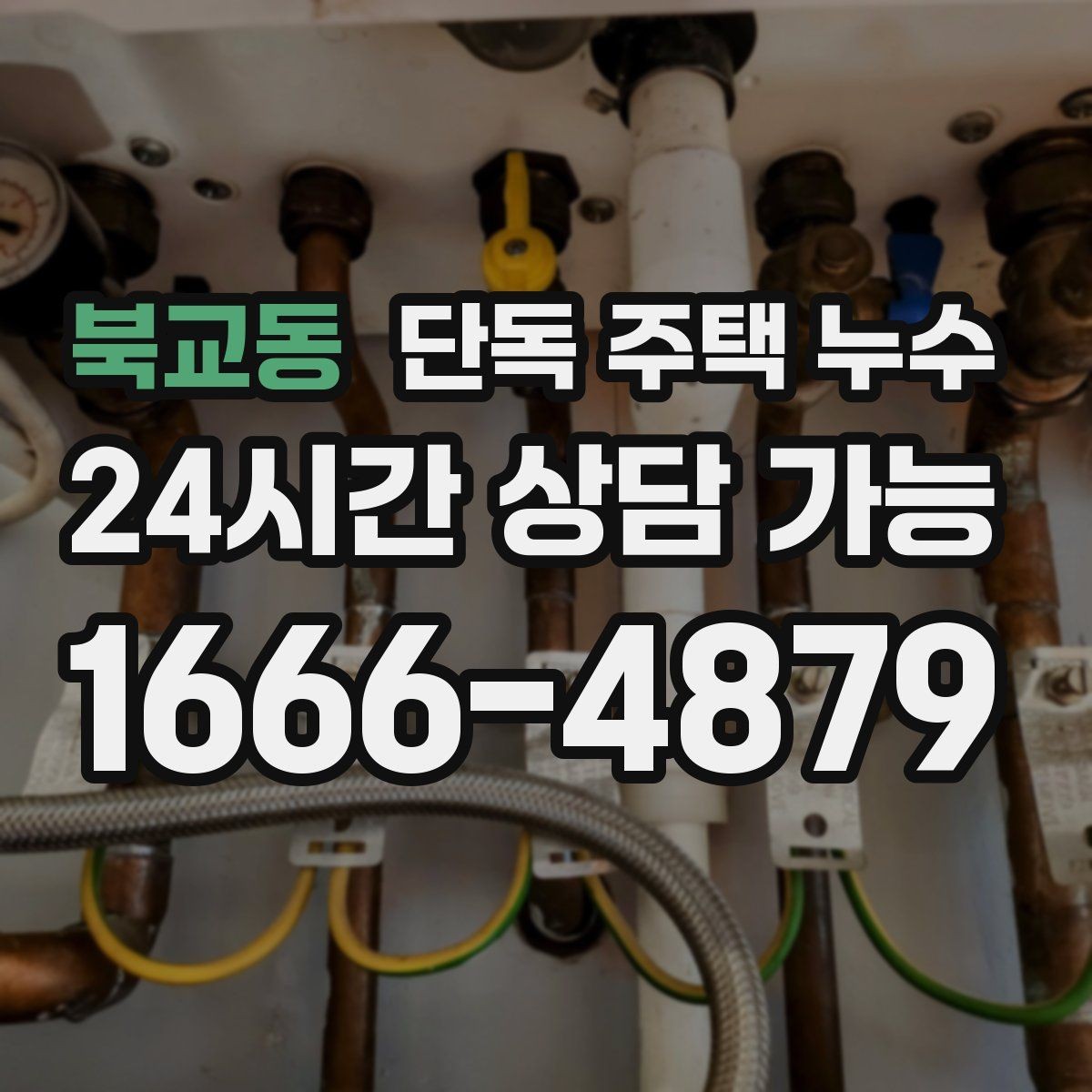 북교동 단독 주택 누수 처마 끝에서 물이 타고 들어올 때