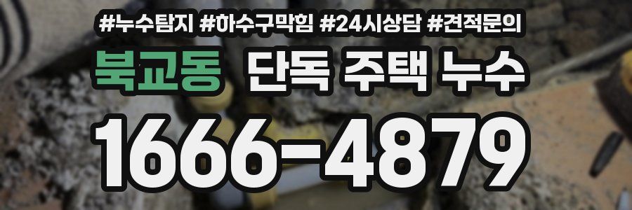 북교동 단독 주택 누수