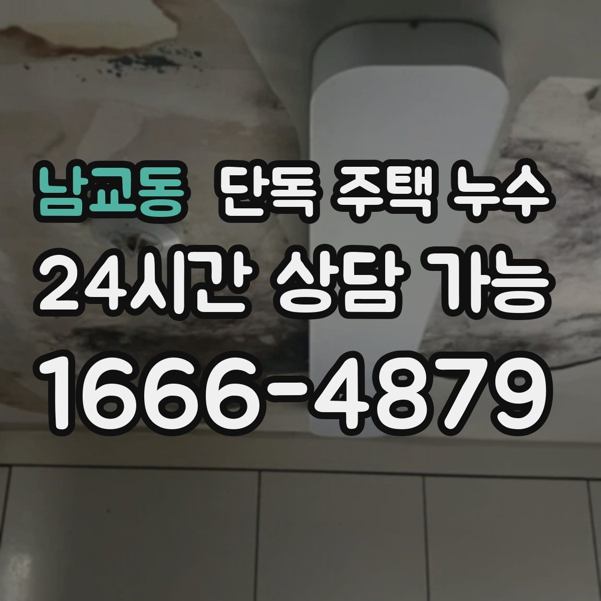 남교동 단독 주택 누수