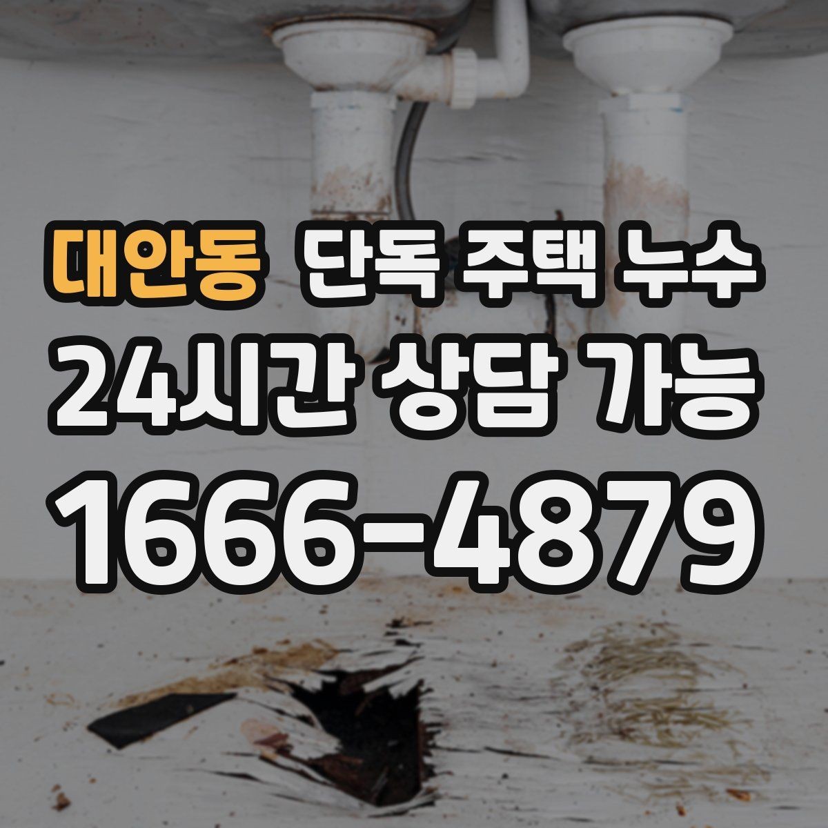 대안동 단독 주택 누수 벽지가 울고 들뜨는 증상 원인 정리