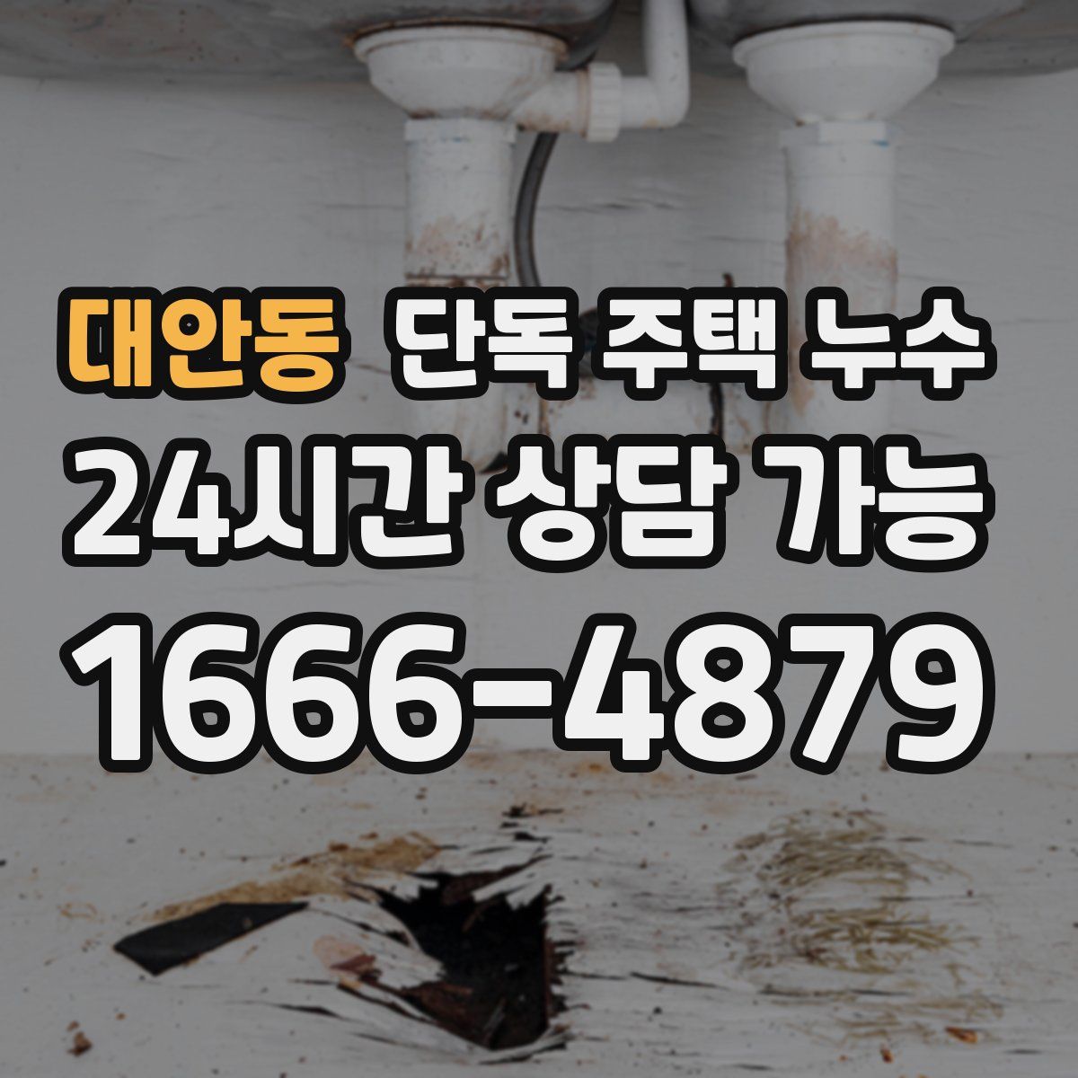 대안동 단독 주택 누수