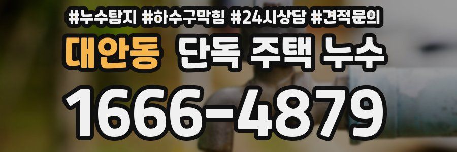 대안동 단독 주택 누수