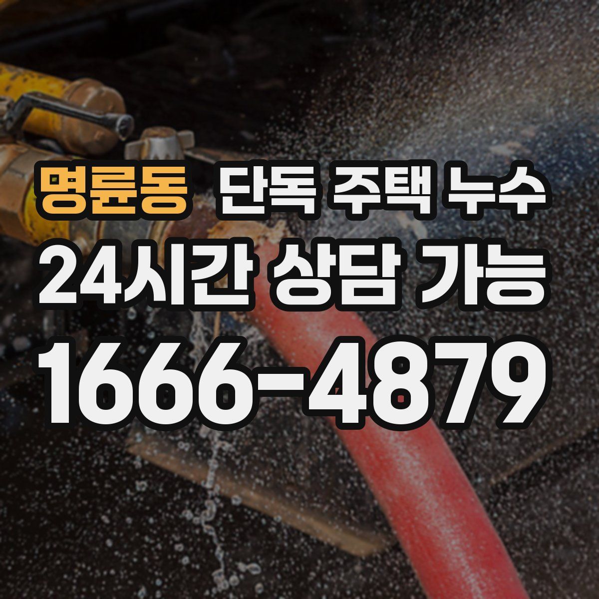명륜동 단독 주택 누수