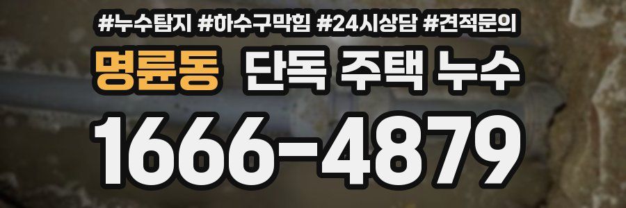 명륜동 단독 주택 누수