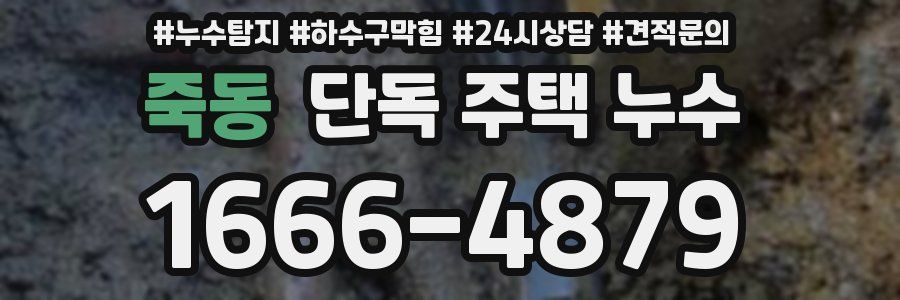 죽동 단독 주택 누수