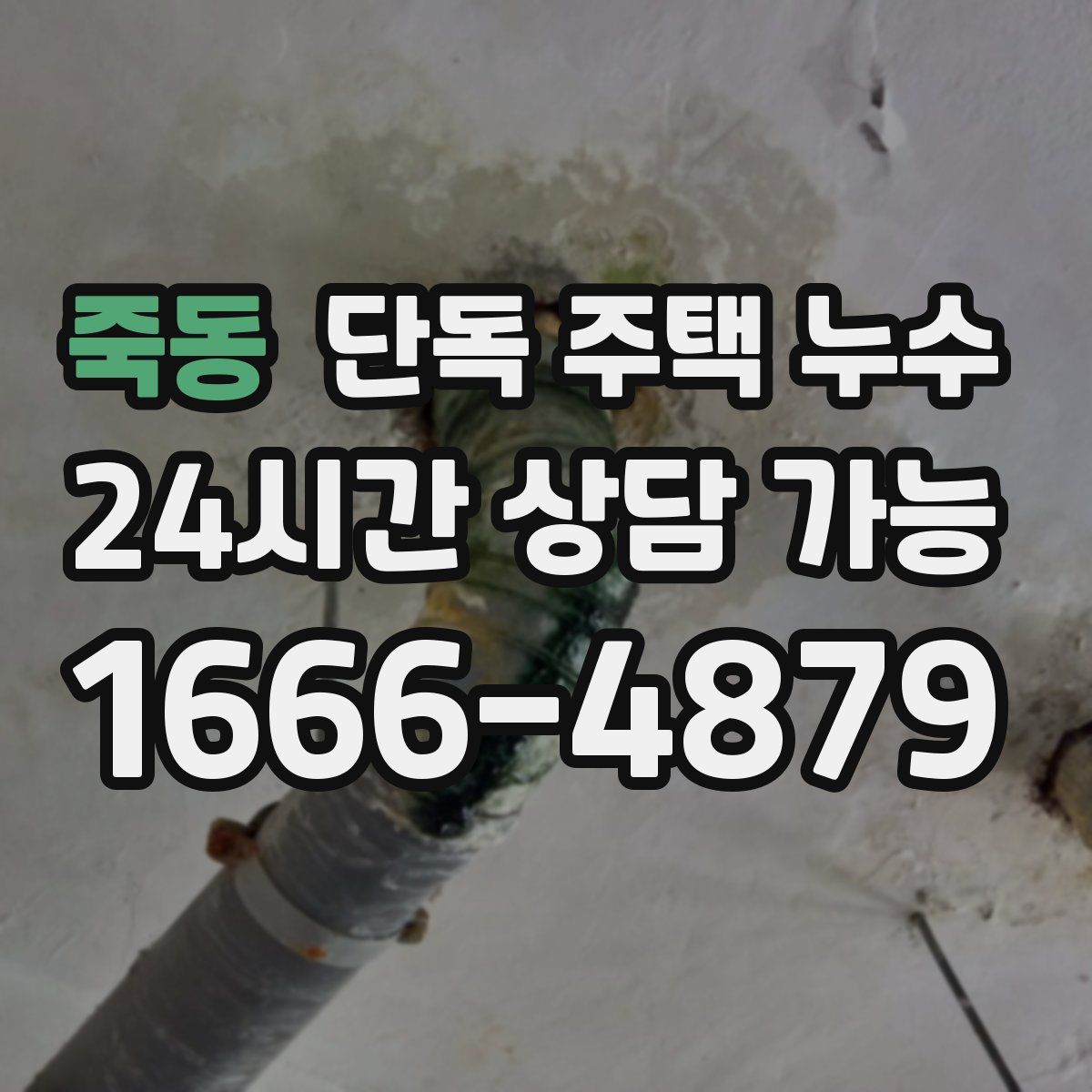 죽동 단독 주택 누수