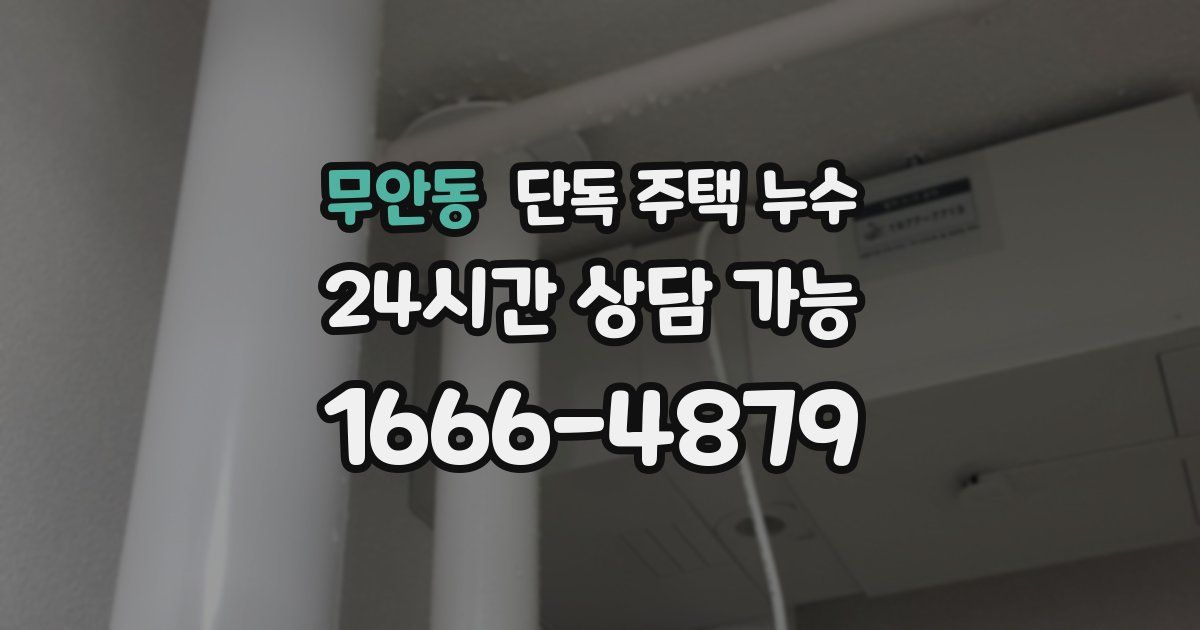 무안동 단독 주택 누수