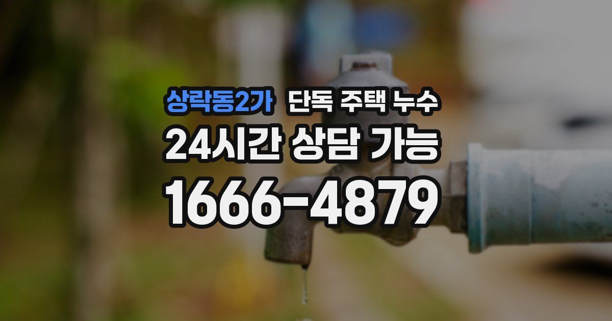 상락동2가 단독 주택 누수