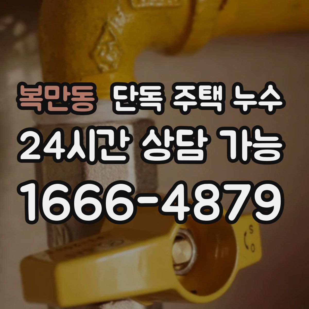 복만동 단독 주택 누수