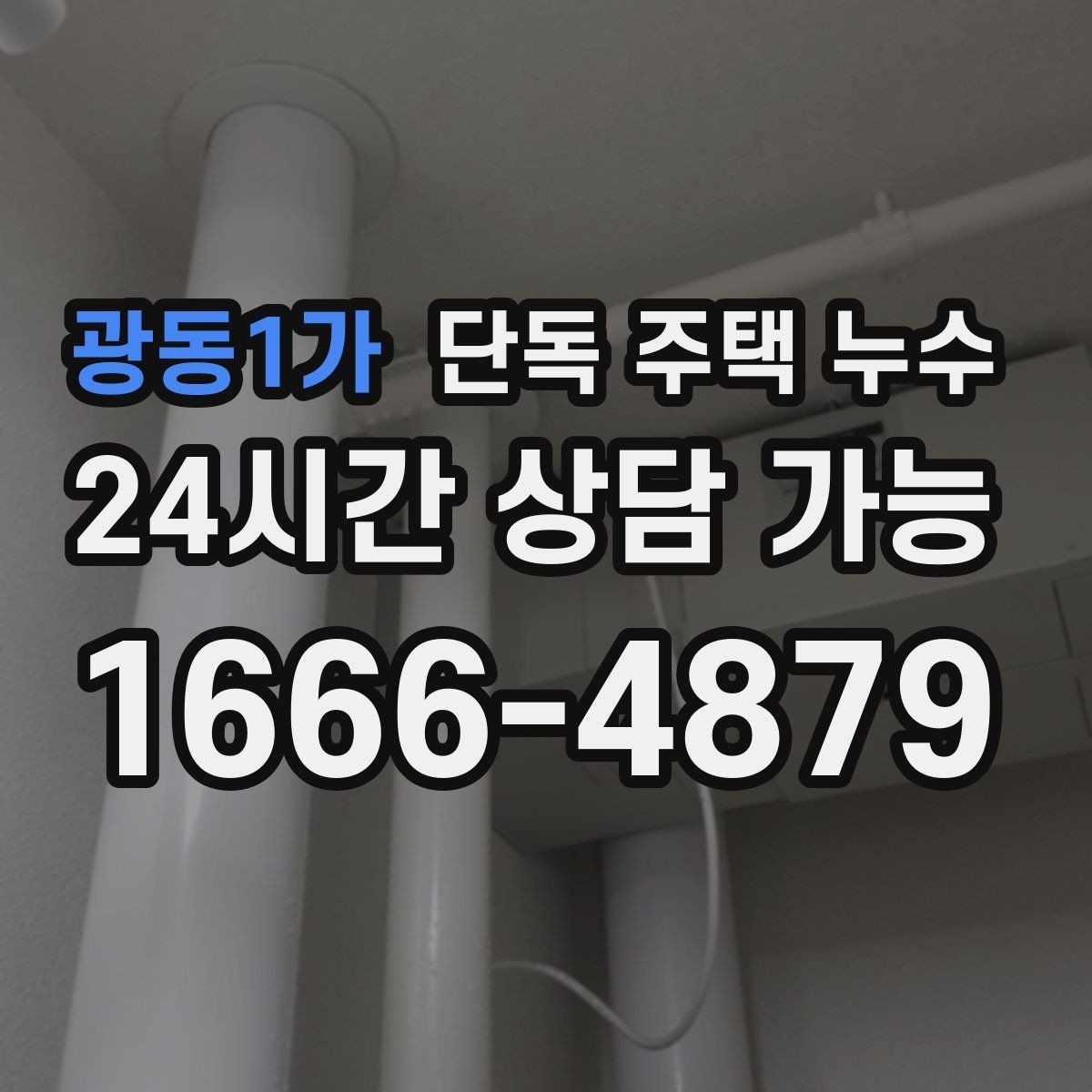 광동1가 단독 주택 누수 평소에도 축축한 누수의 특징