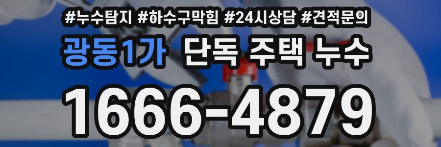 광동1가 단독 주택 누수
