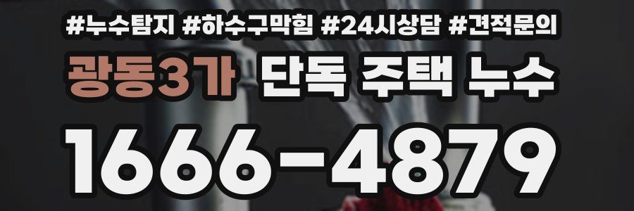 광동3가 단독 주택 누수