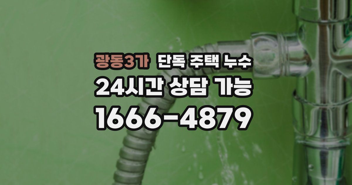 광동3가 단독 주택 누수