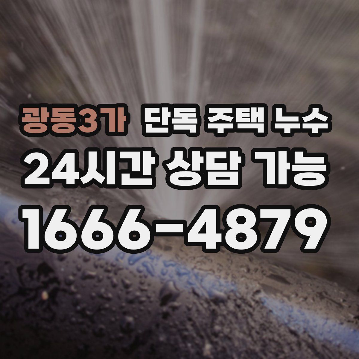 광동3가 단독 주택 누수