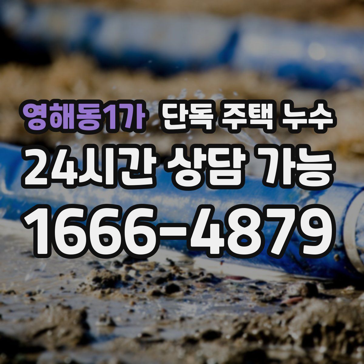 영해동1가 단독 주택 누수