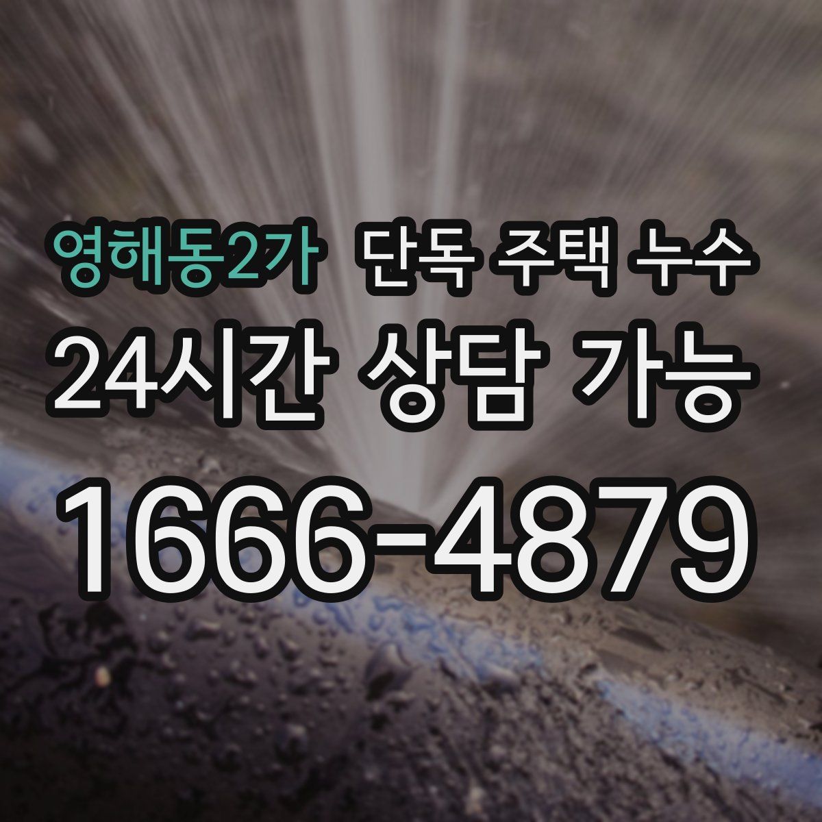 영해동2가 단독 주택 누수