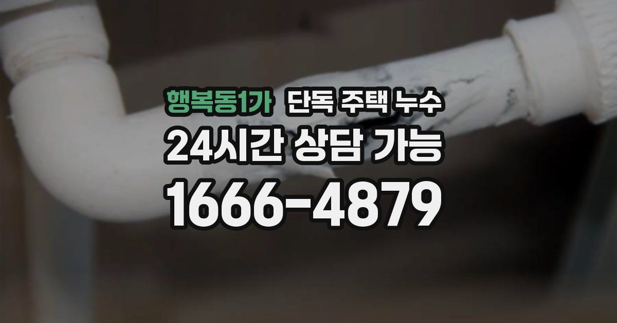 행복동1가 단독 주택 누수