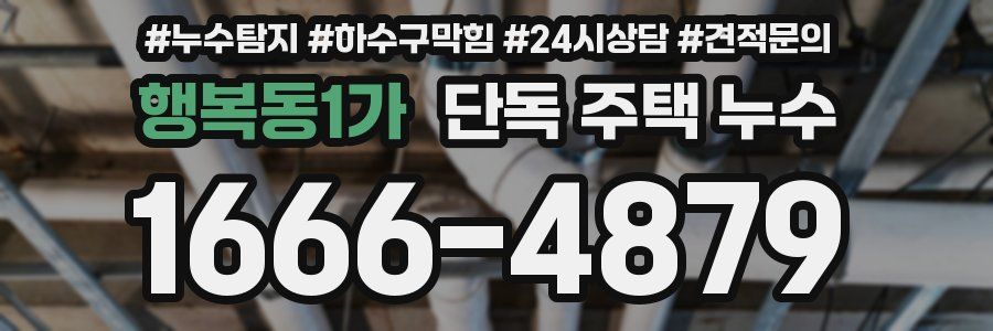 행복동1가 단독 주택 누수