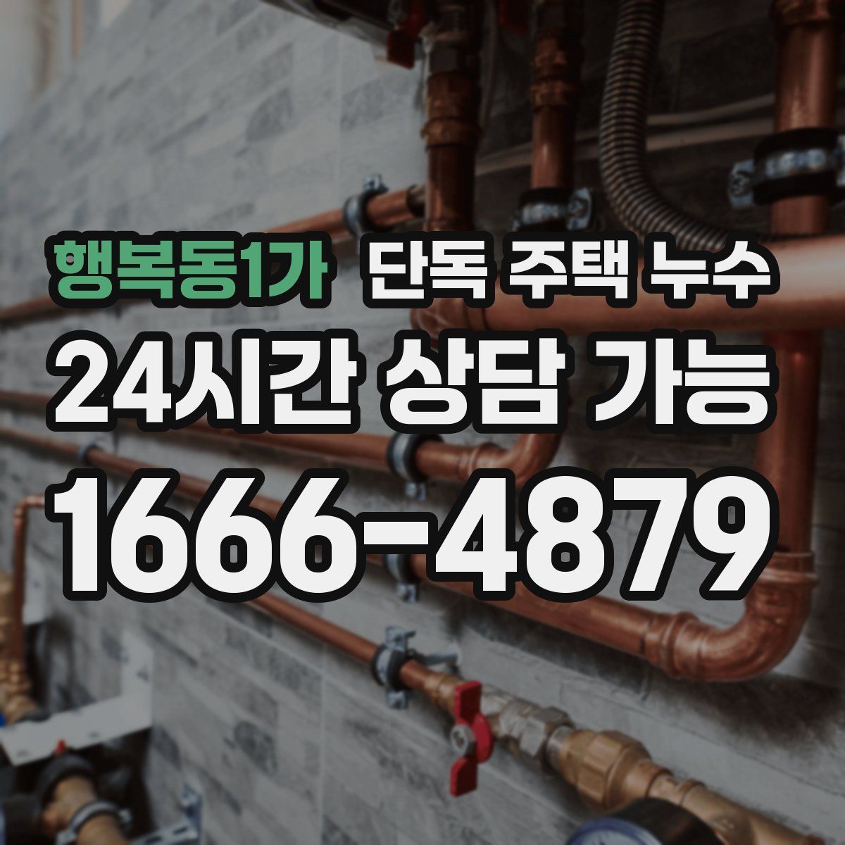 행복동1가 단독 주택 누수