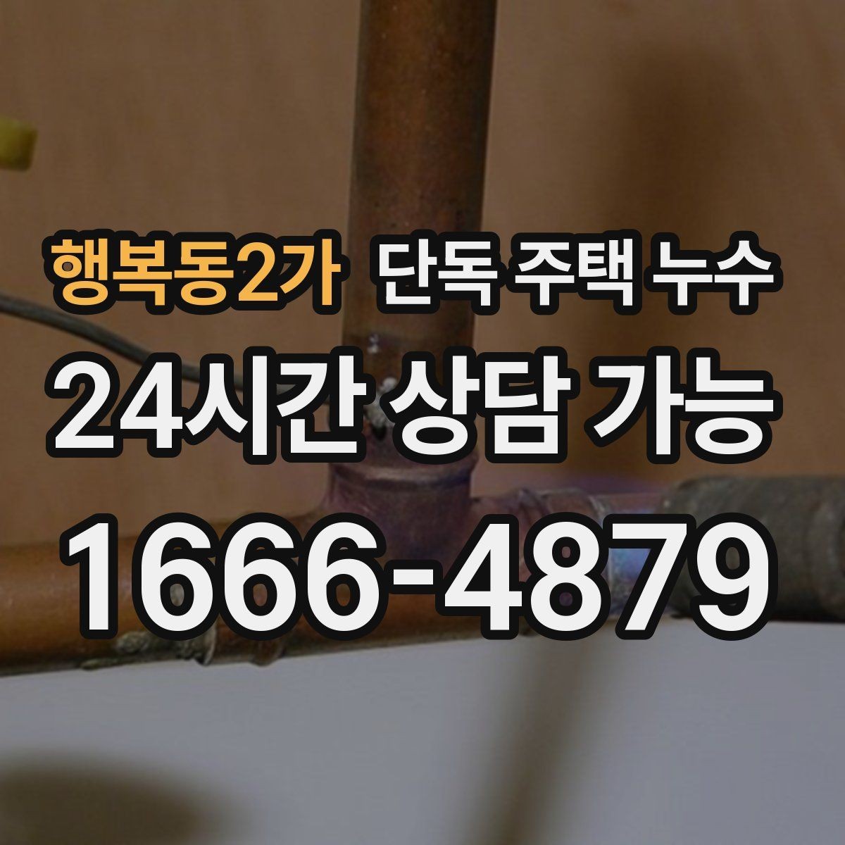 행복동2가 단독 주택 누수 외벽 마감 줄눈이 벌어졌을 때 신호