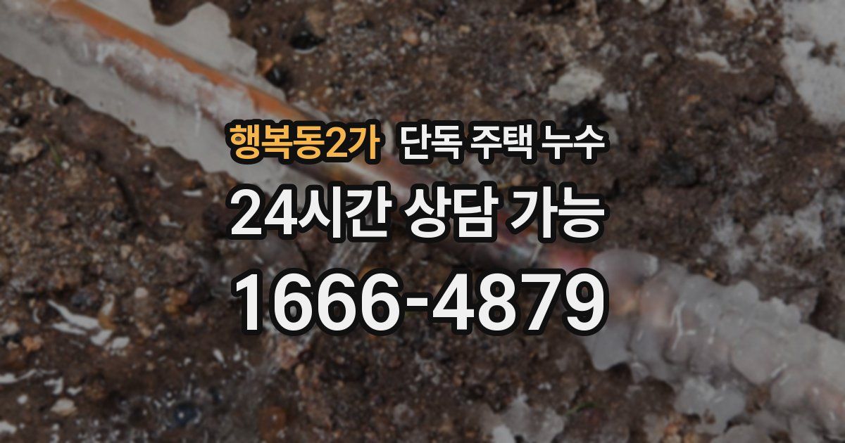 행복동2가 단독 주택 누수