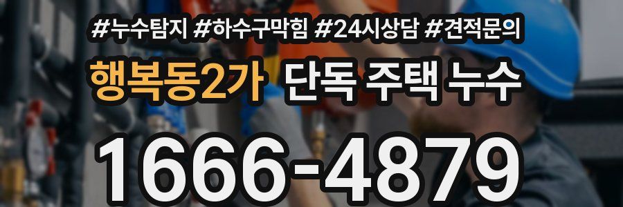 행복동2가 단독 주택 누수