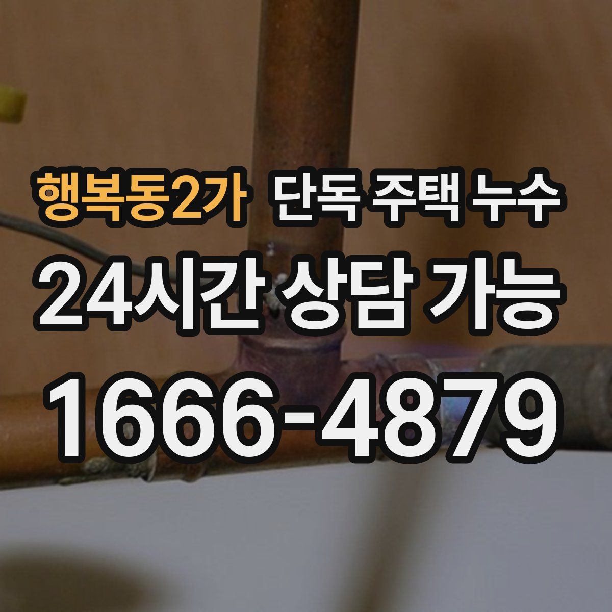 행복동2가 단독 주택 누수