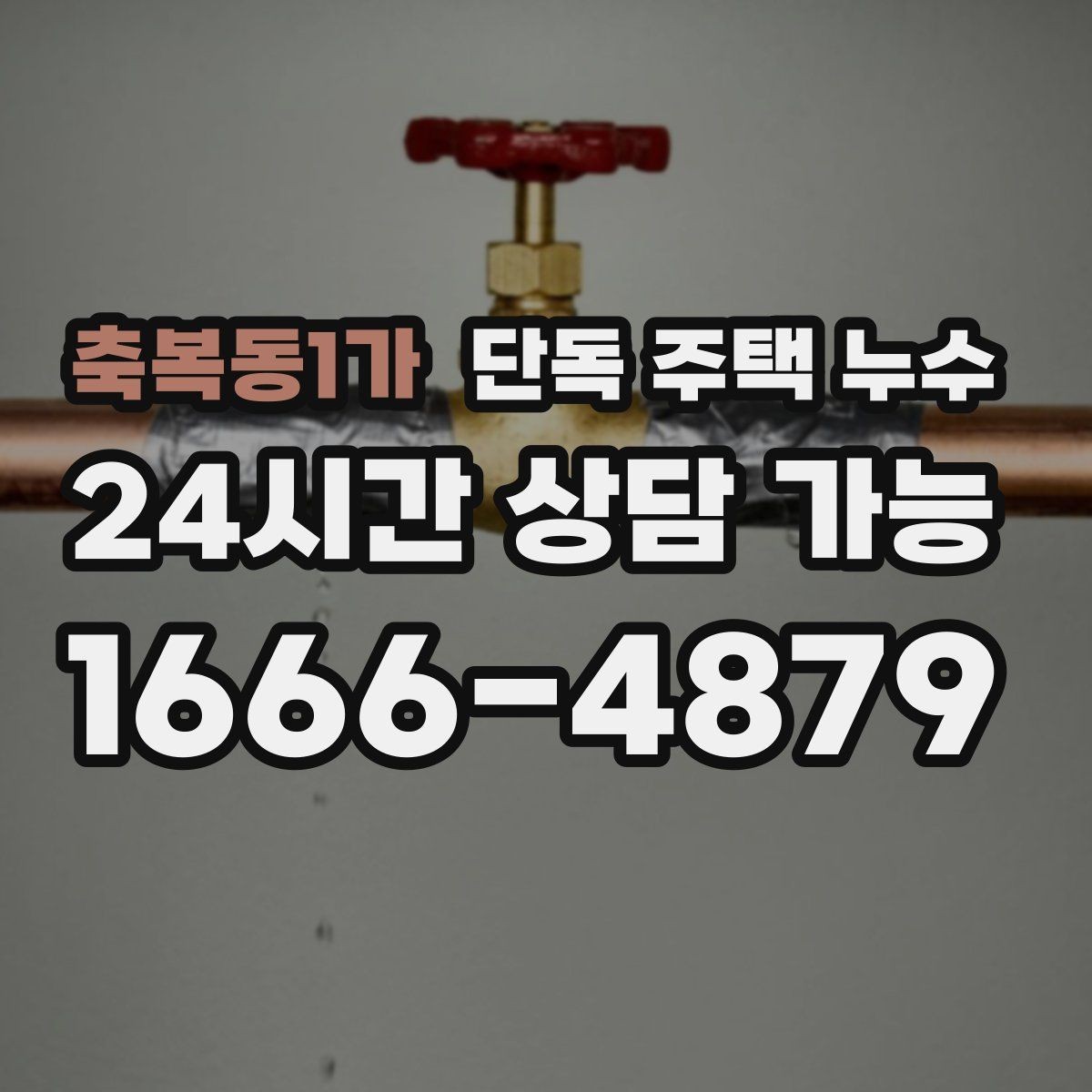축복동1가 단독 주택 누수 싱크대 하부에서 물이 새는 흔한 원인
