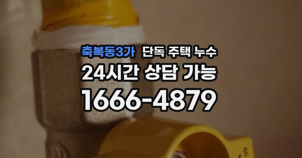 축복동3가 단독 주택 누수