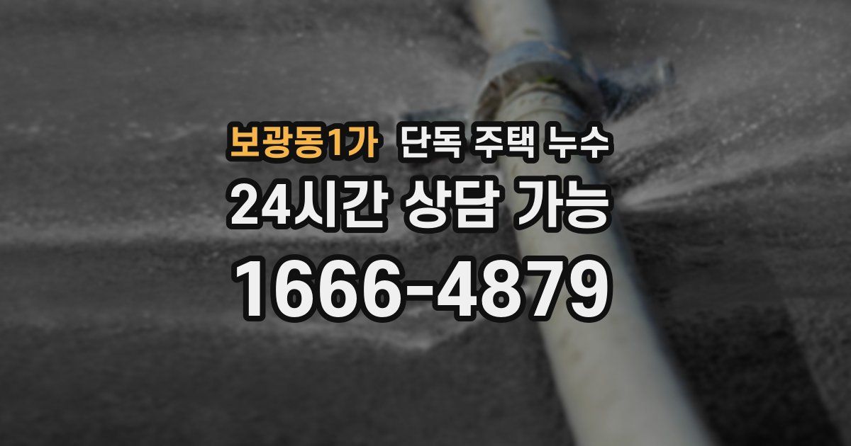 보광동1가 단독 주택 누수