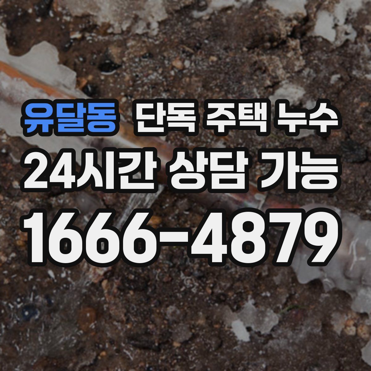 유달동 단독 주택 누수