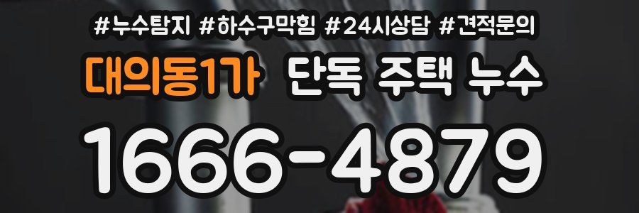 대의동1가 단독 주택 누수