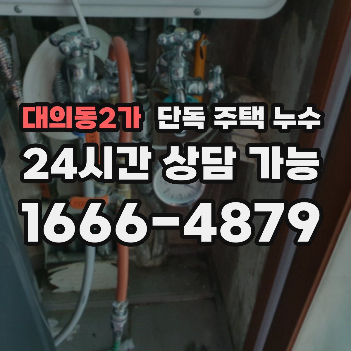 대의동2가 단독 주택 누수