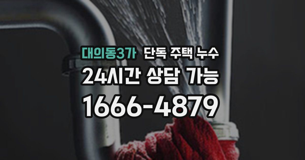 대의동3가 단독 주택 누수