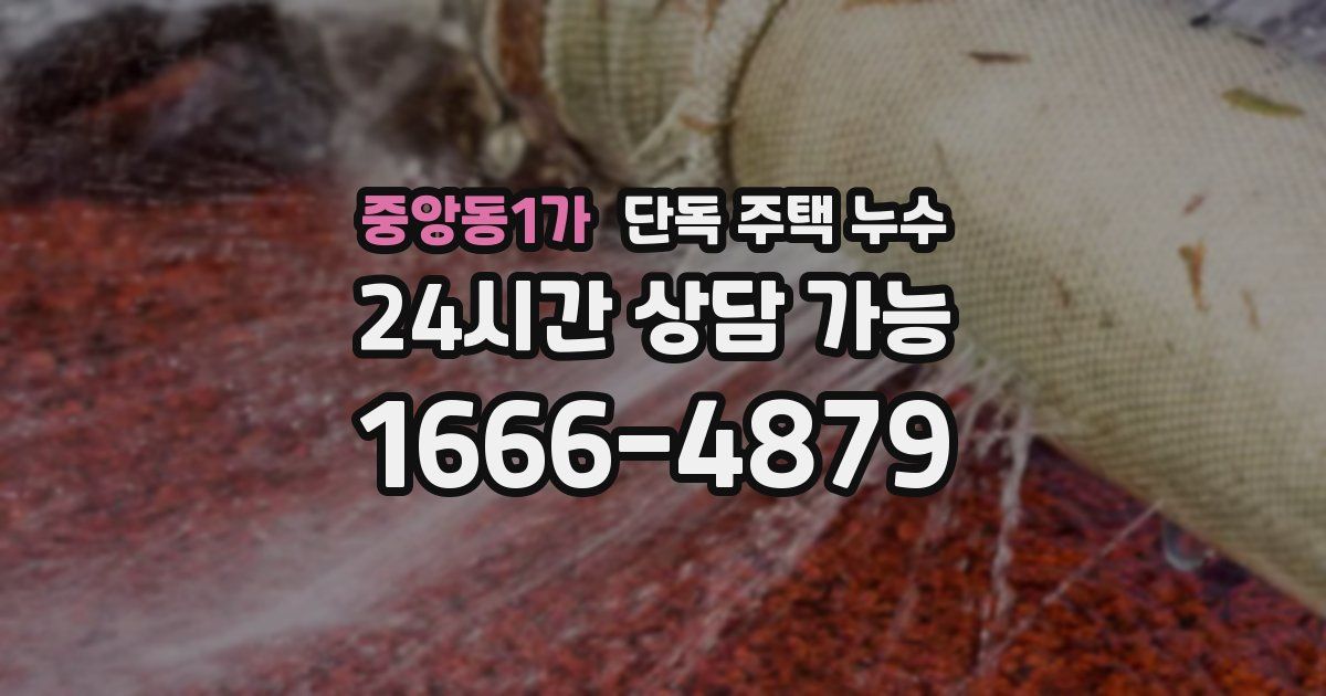 중앙동1가 단독 주택 누수