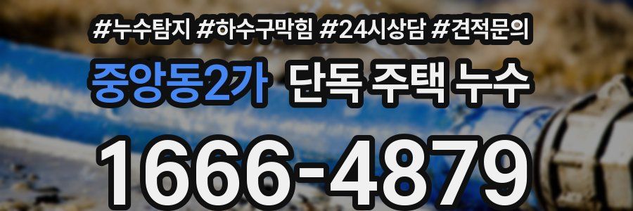 중앙동2가 단독 주택 누수