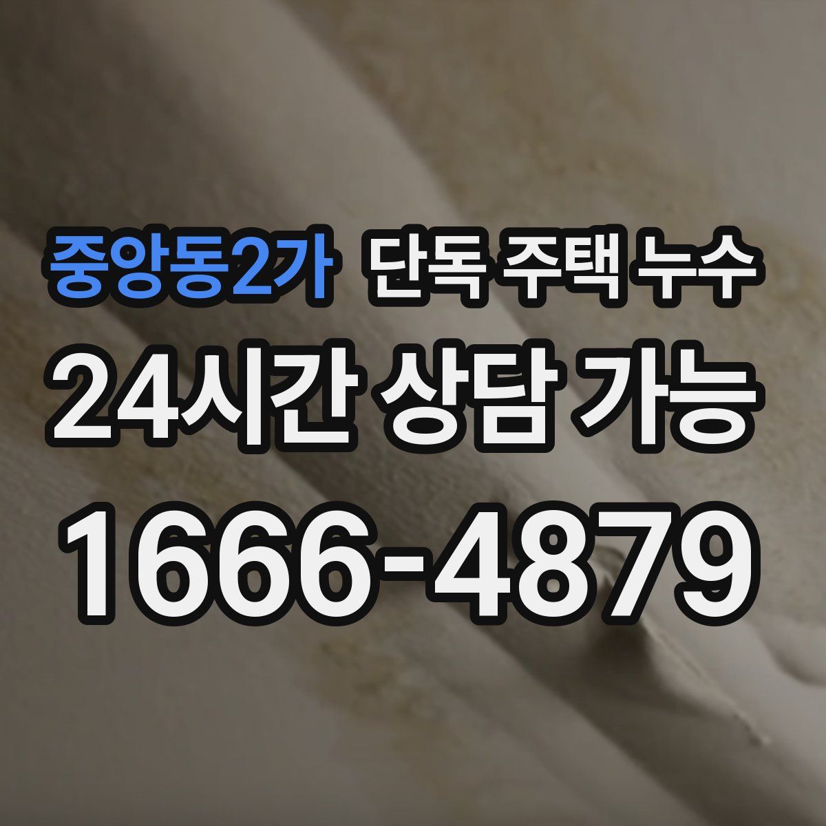 중앙동2가 단독 주택 누수