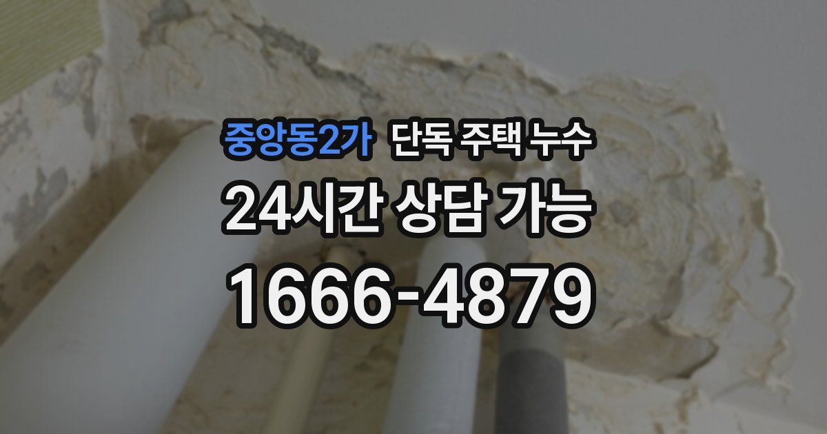 중앙동2가 단독 주택 누수